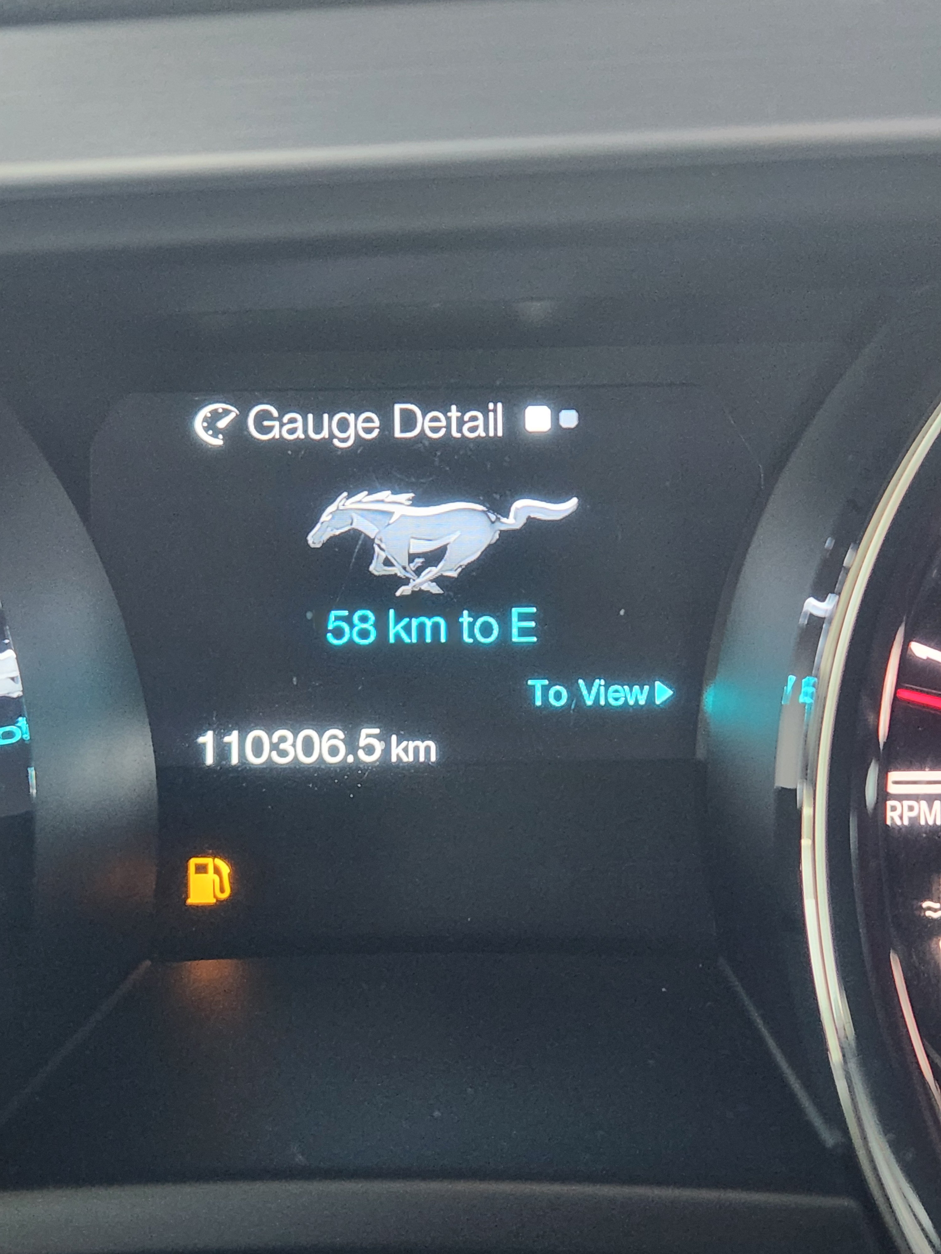 1000019820.jpg