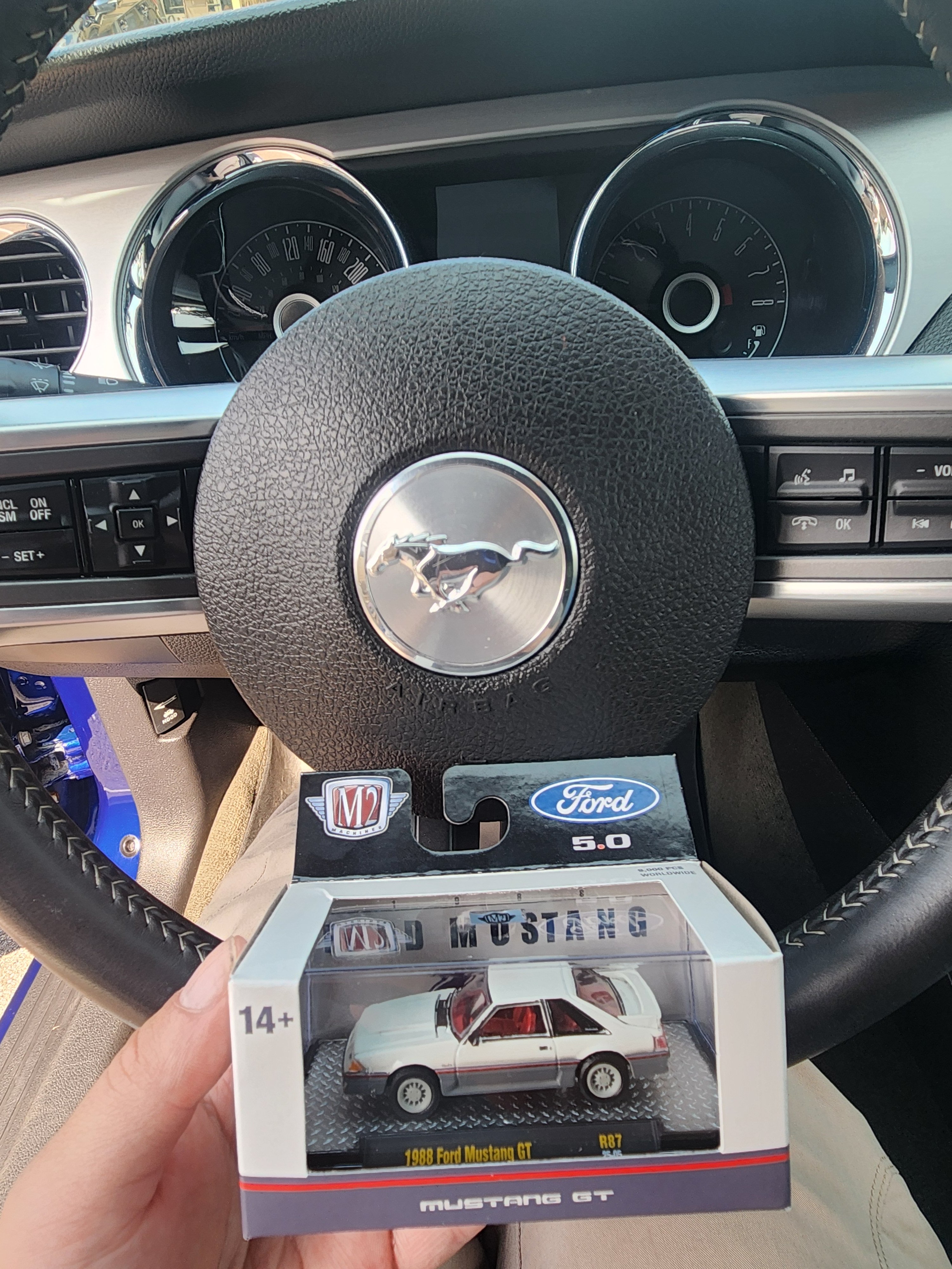1000020907.jpg