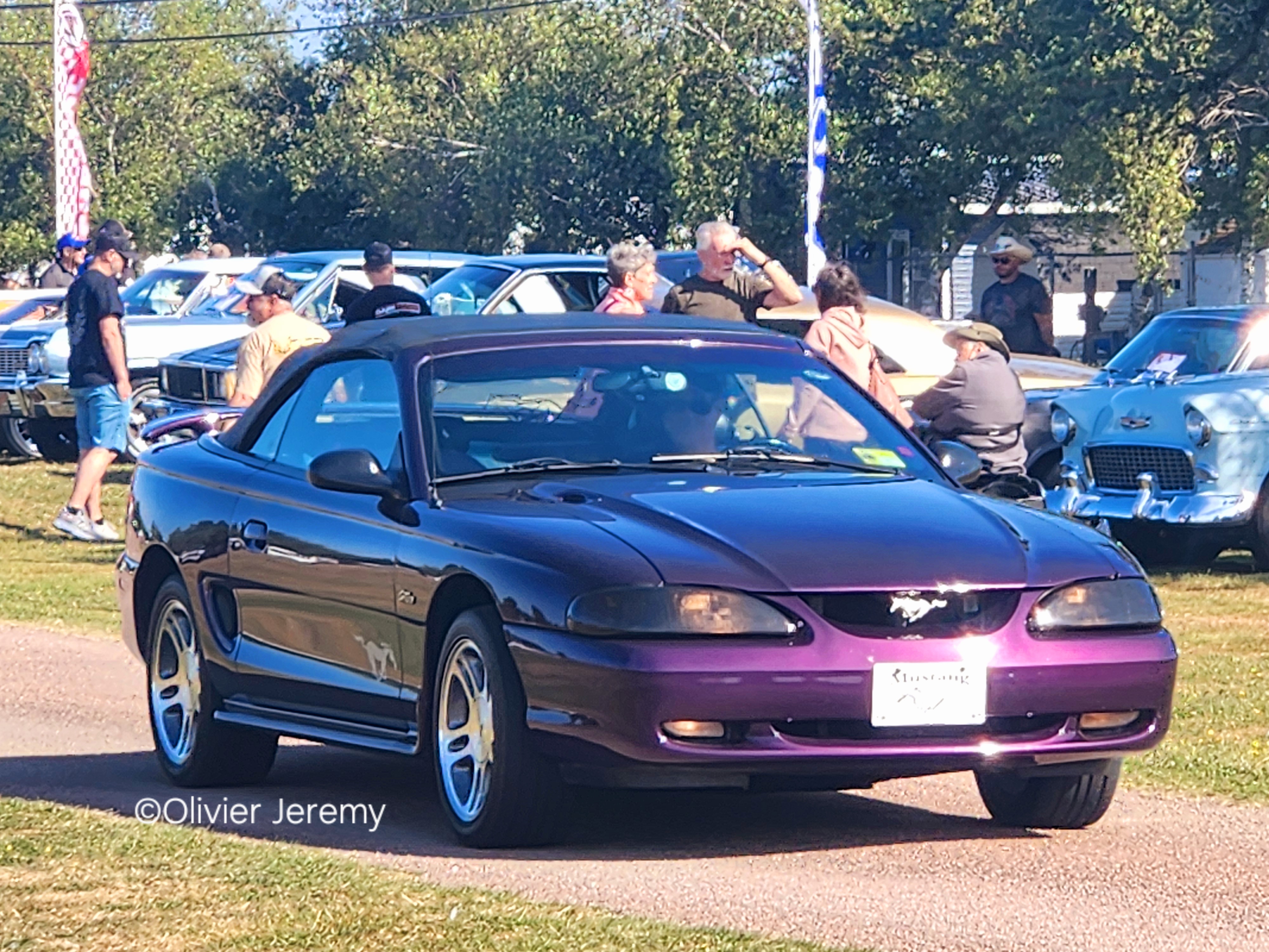 1000029871.jpg