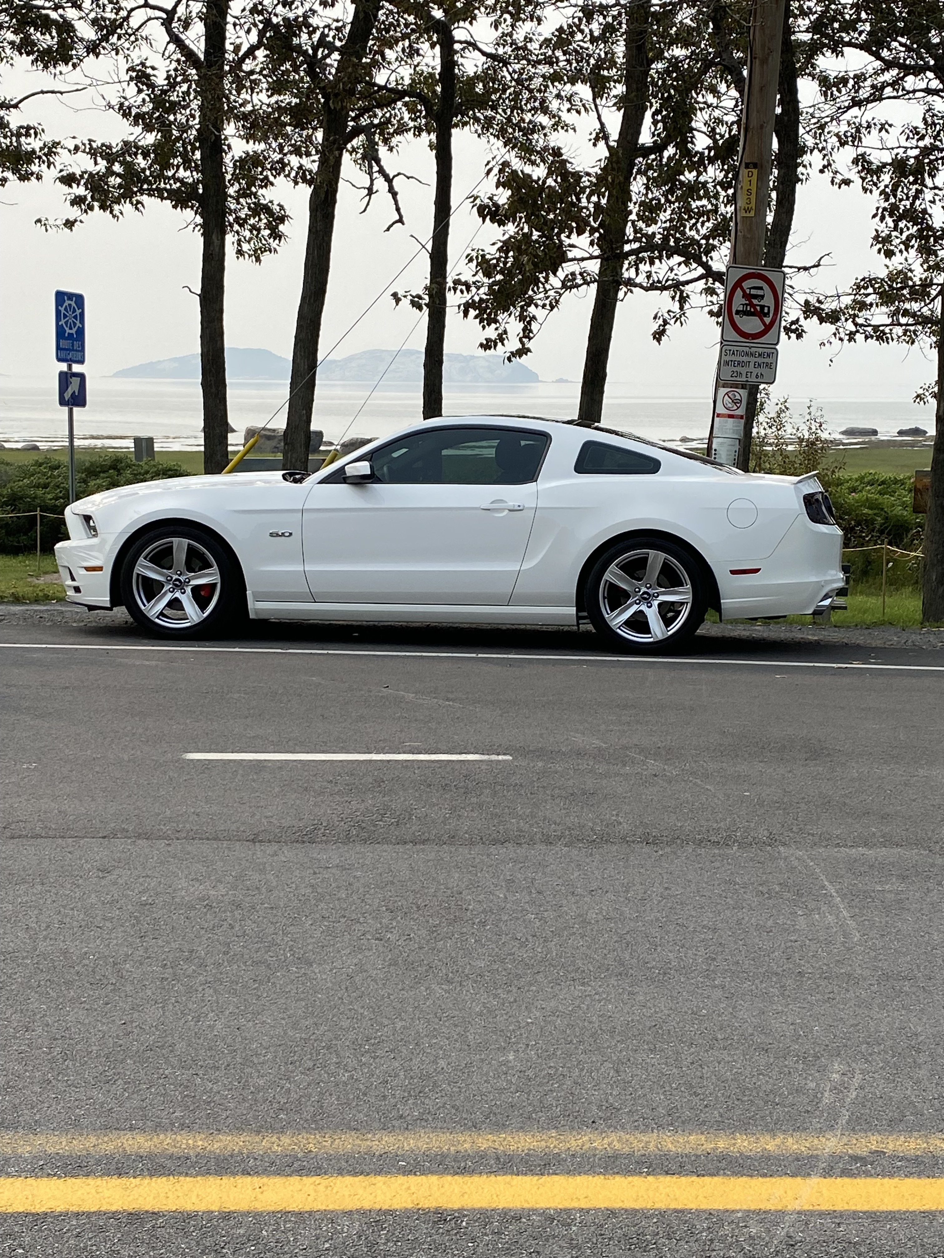 14 white 5.0.jpeg