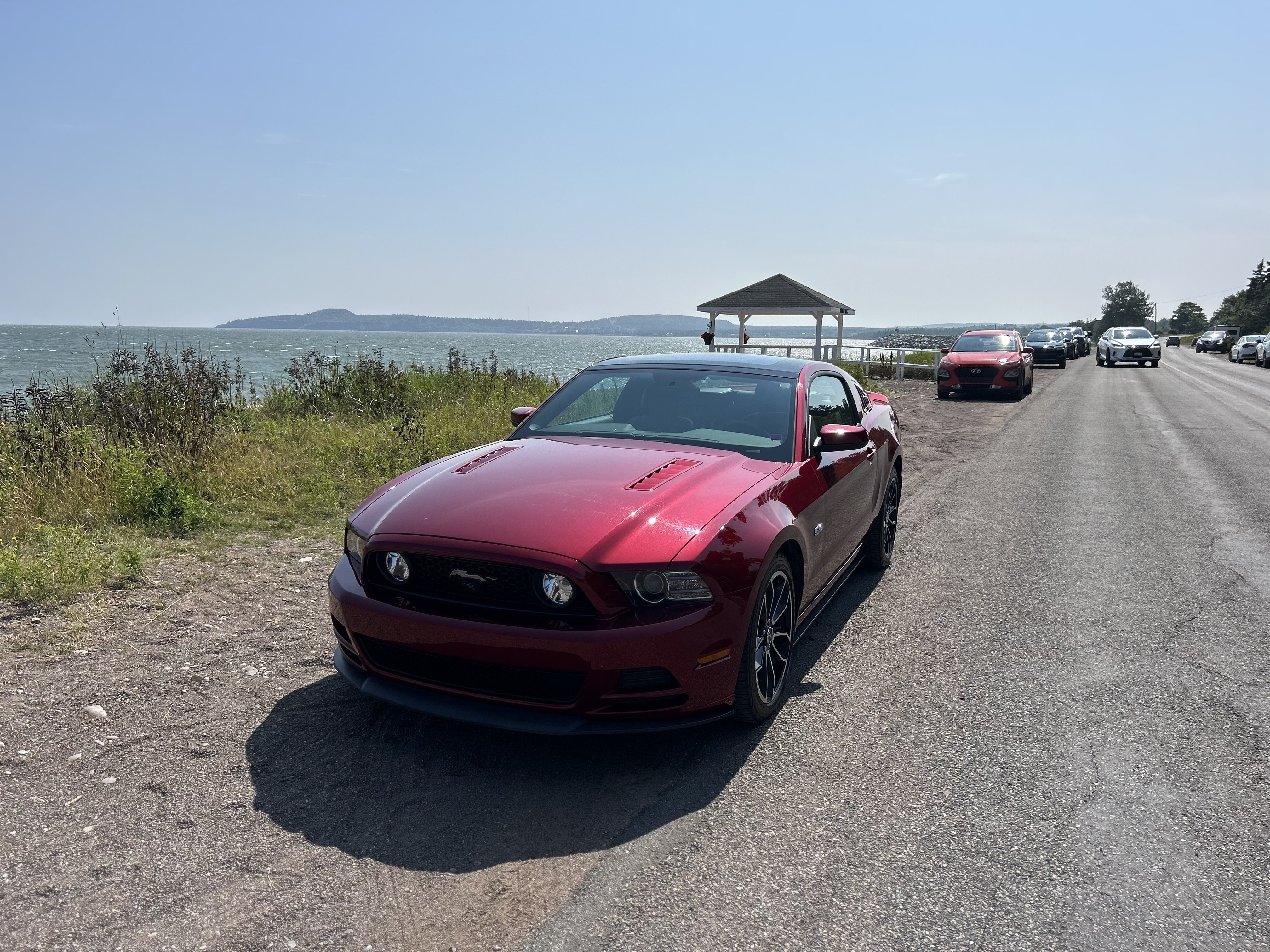 15 2014 Red GT.jpeg