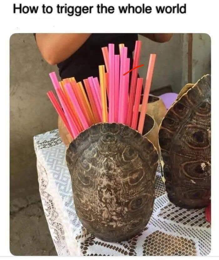 1746308700603.png