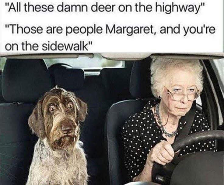 1747382790435.png