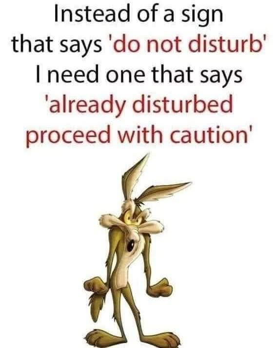 1748133227105.png