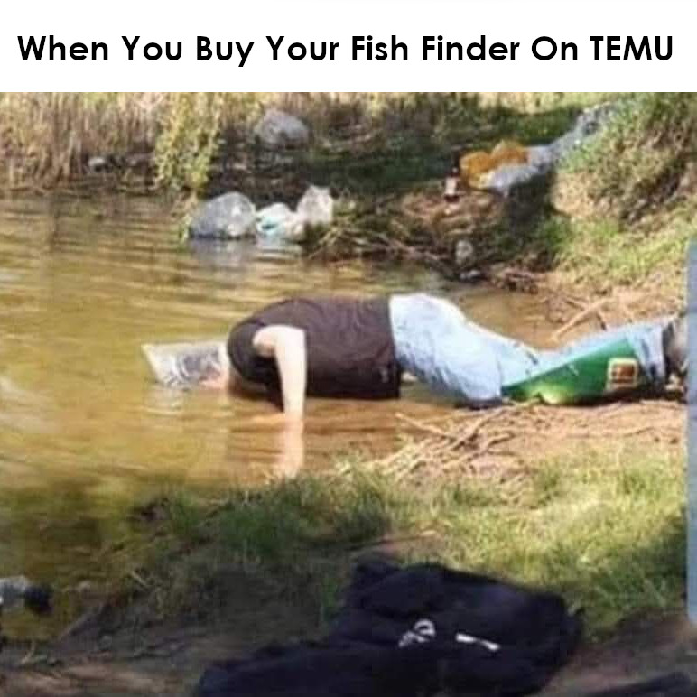 1749682698163.png