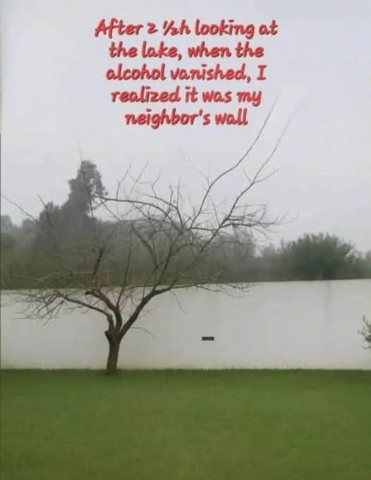 1754247452501.png