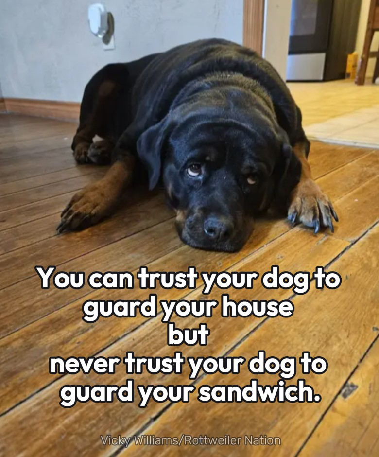 1756718047814.png