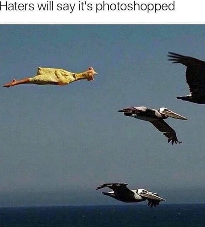 1759001366839.png