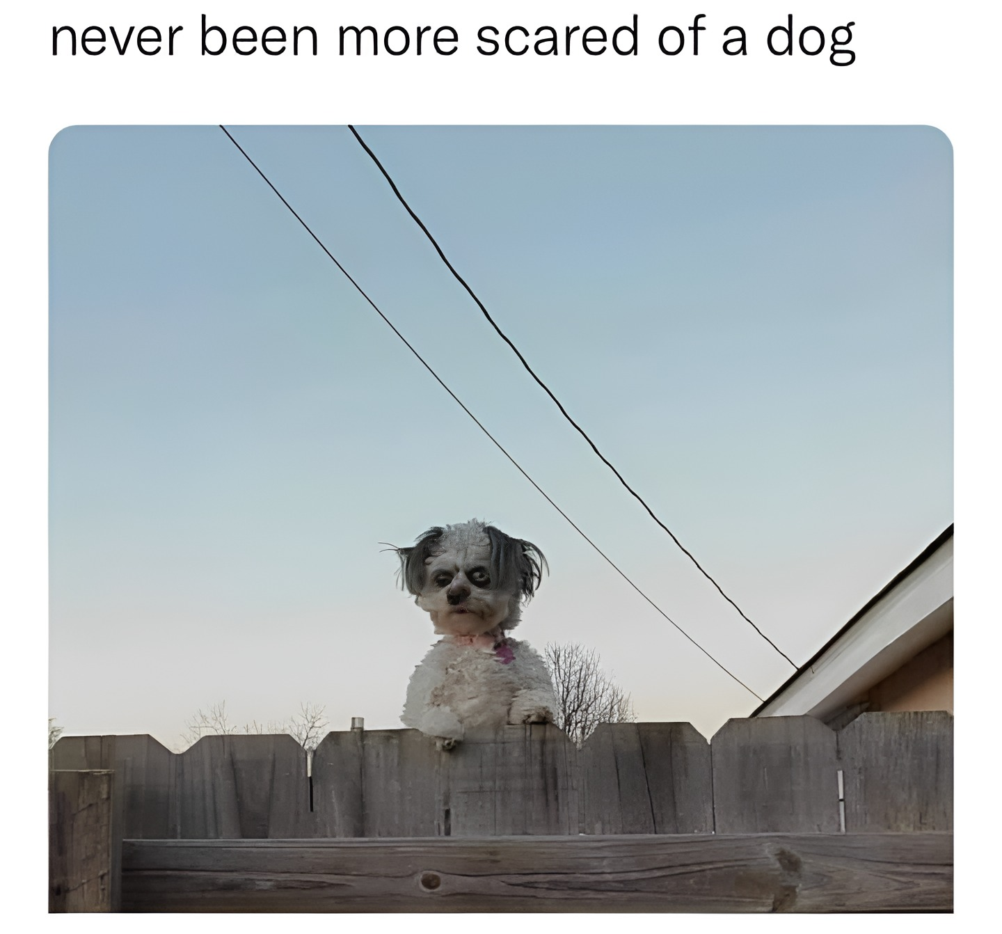 1759781426423.png