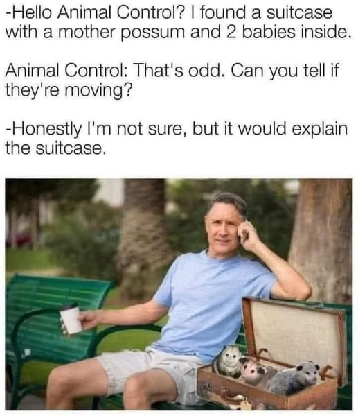 1760643854419.png
