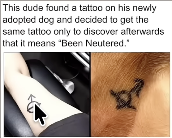 1791399251635.png