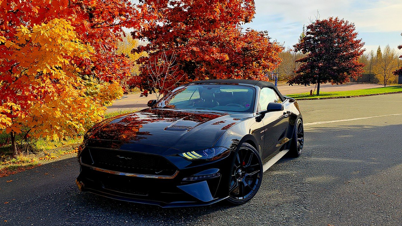 2018 GT Fall.jpg