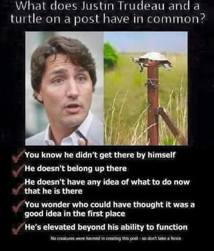 35-justin-trudeau-memes-03.jpg