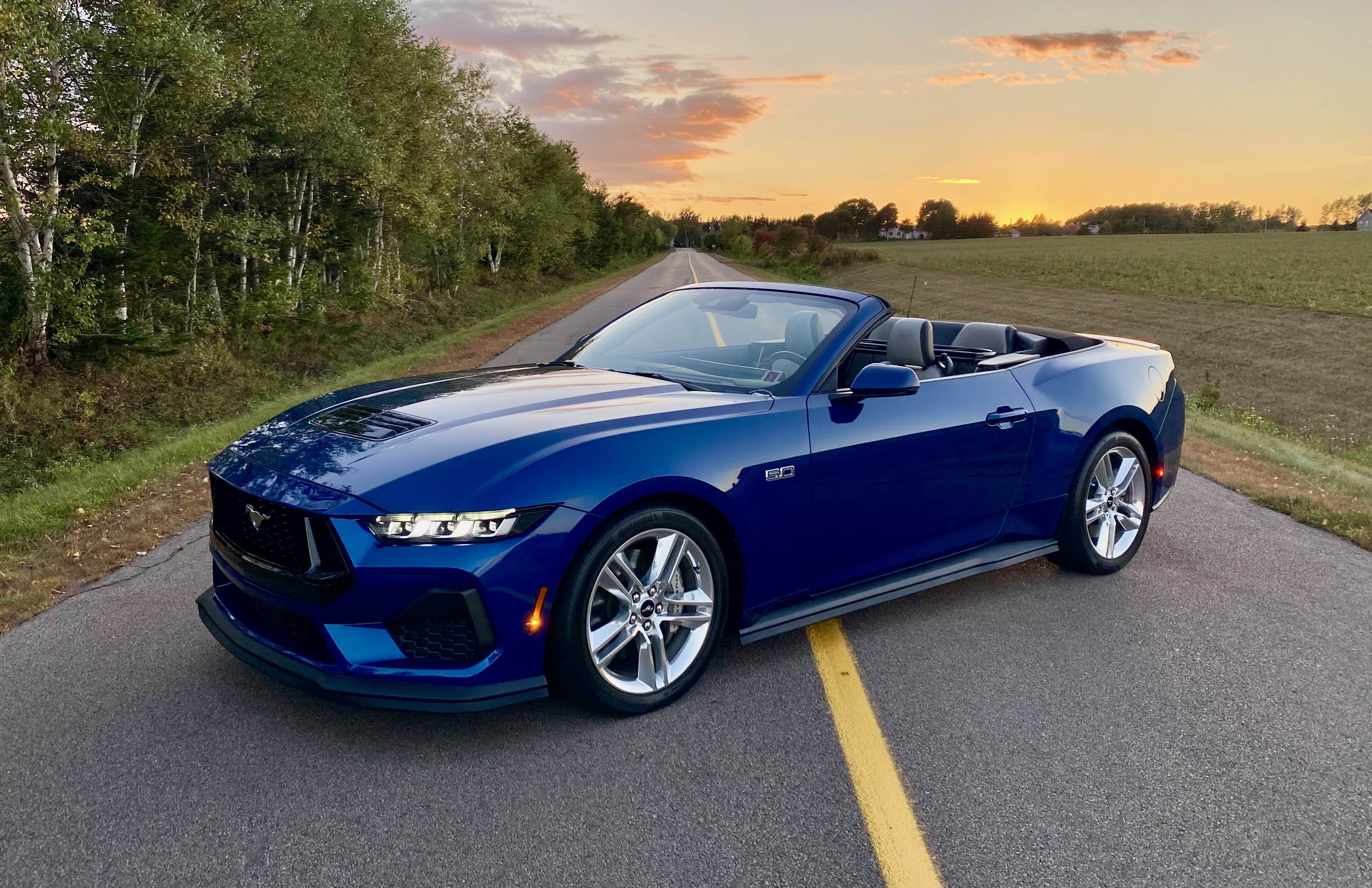5 KBStang.jpg