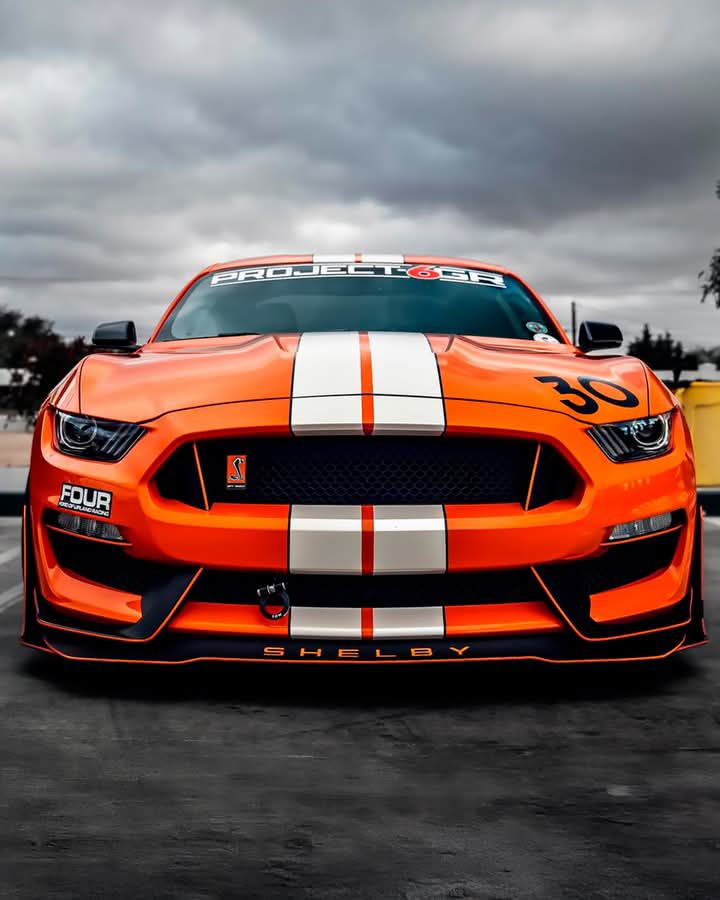 502581448_1261182525404559_4571683868137009853_n.jpg