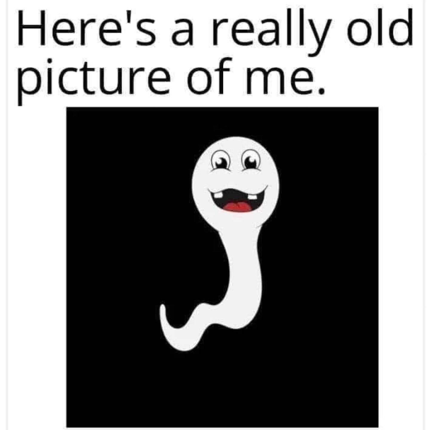 517909525_1496109288359443_2010185718698081860_n.jpg