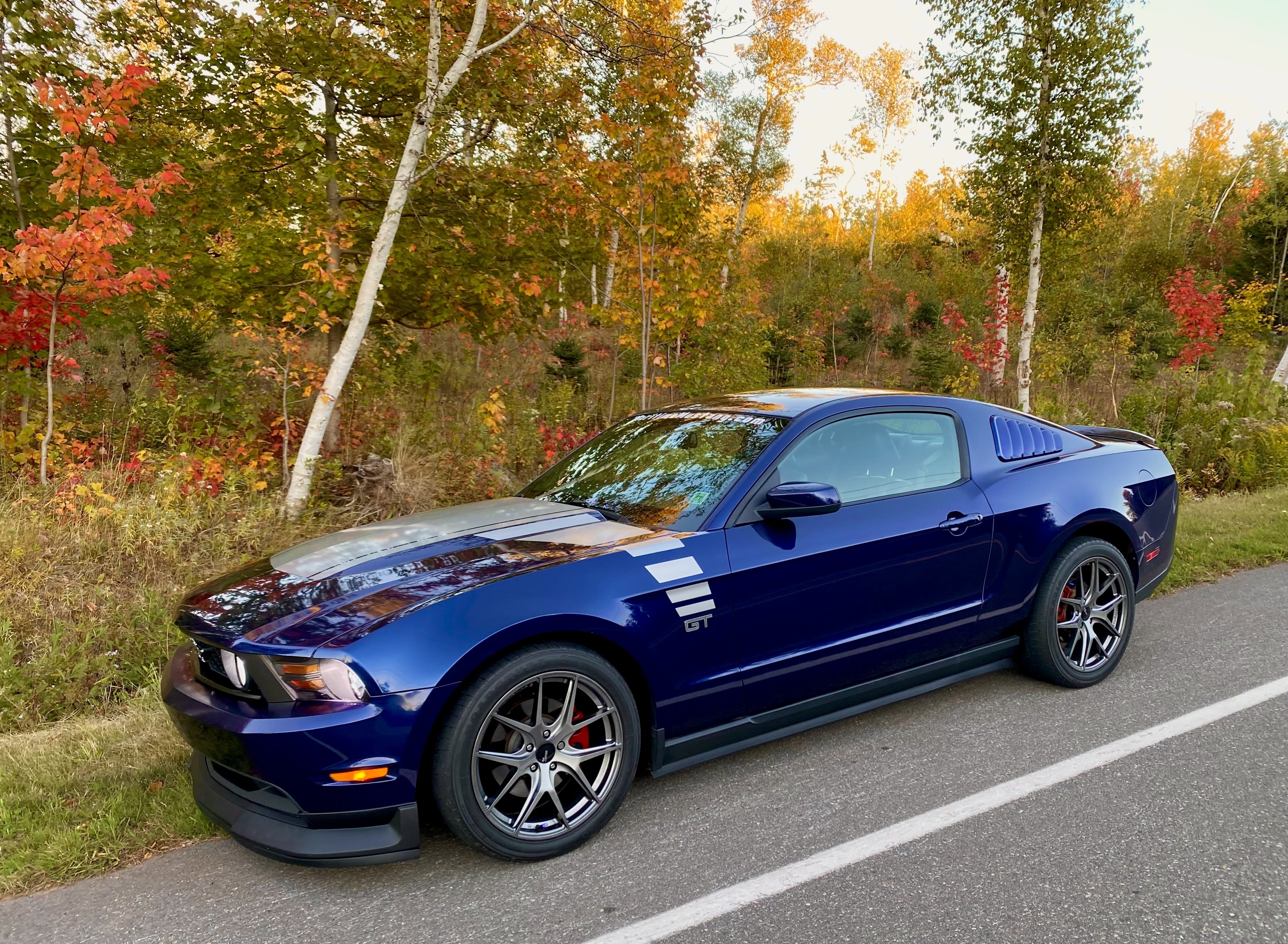 6 KBStang.jpg