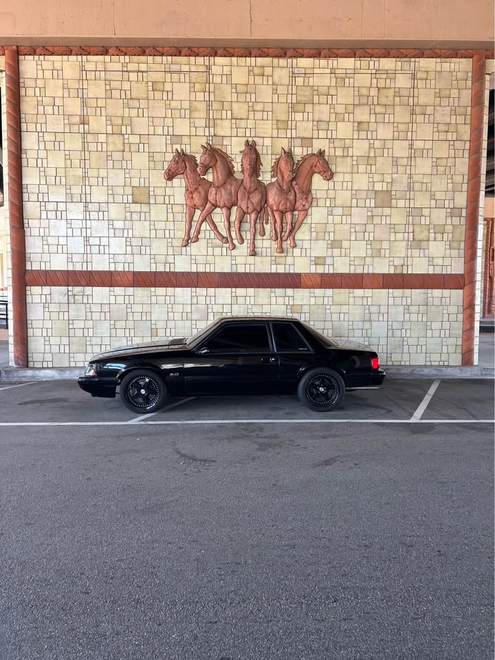 759611306_10239197133778289_7285100901114548369_n.jpg