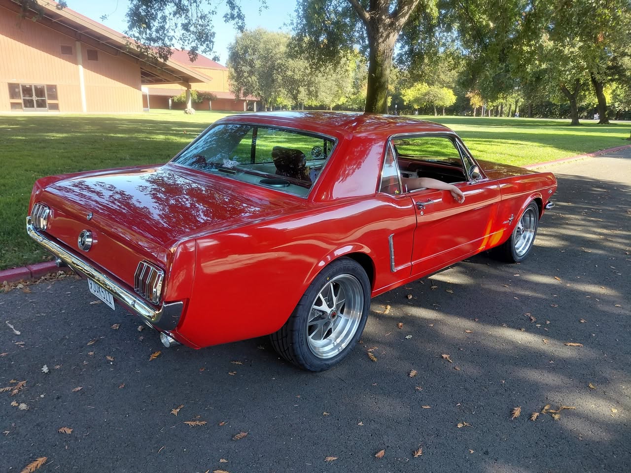 789264033_10240293392179638_2212191277880652653_n.jpg