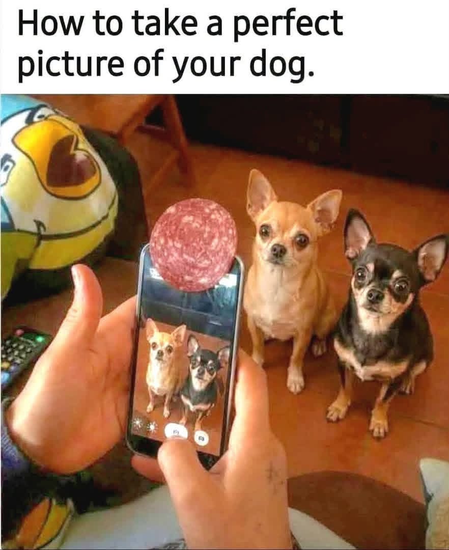 816858594_1514745560687444_1818335101428564645_n.jpg
