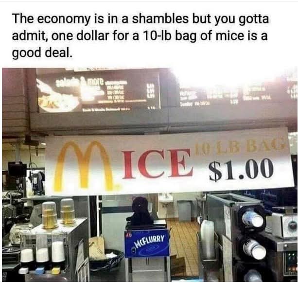 FB_IMG_1746278503355.jpg