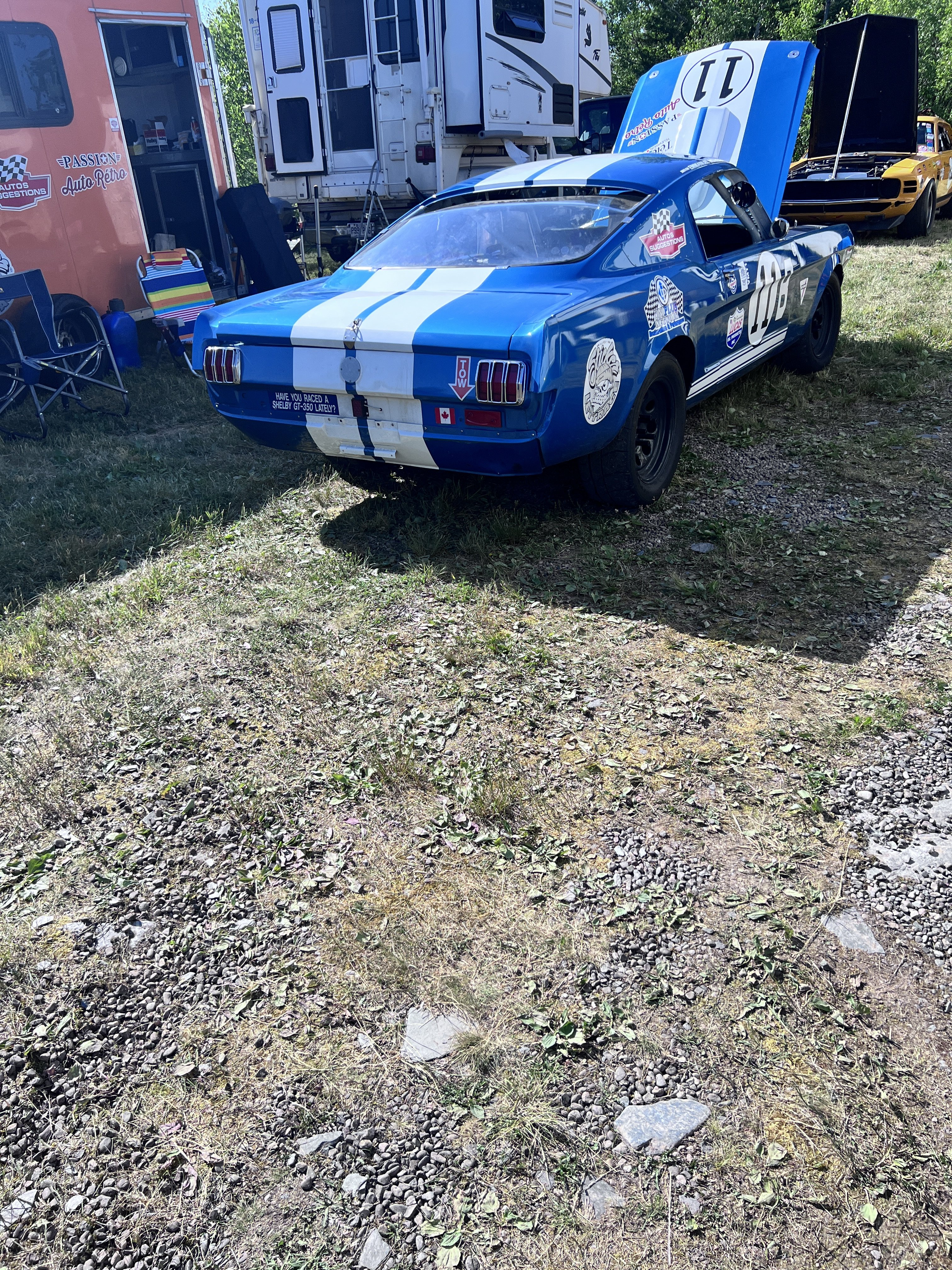 IMG_1771.jpeg