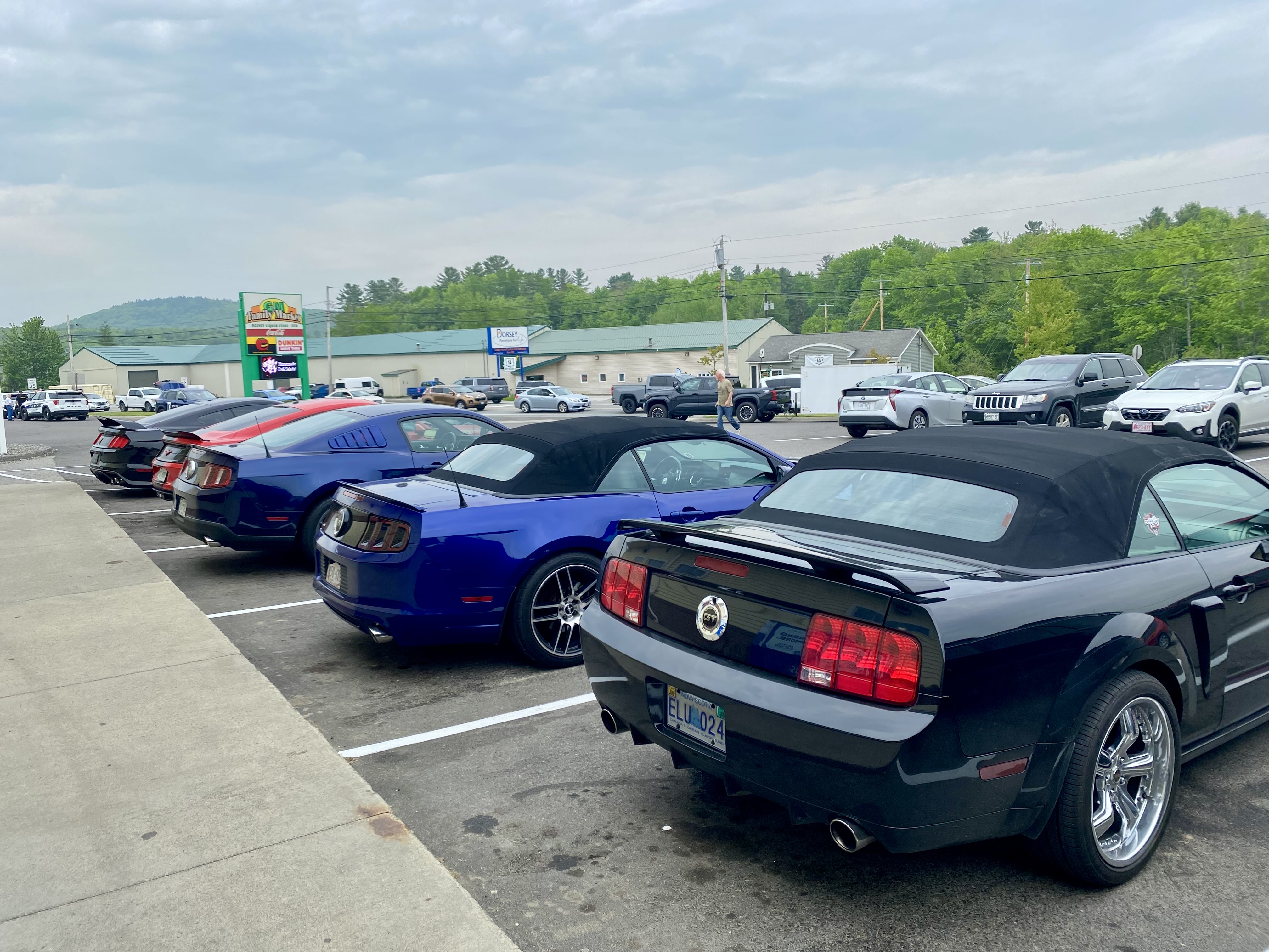 IMG_3461.jpeg