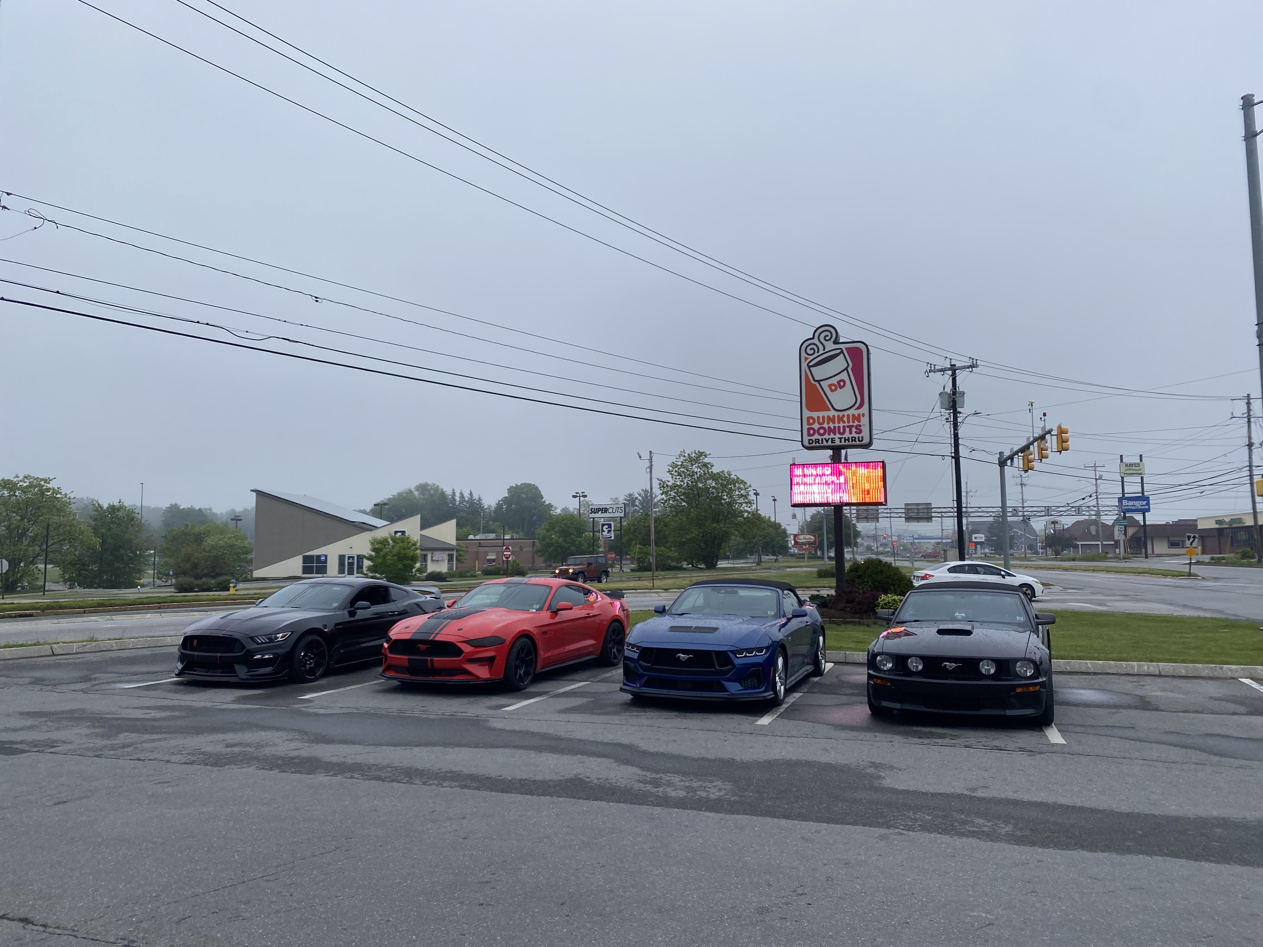 IMG_3745.jpeg