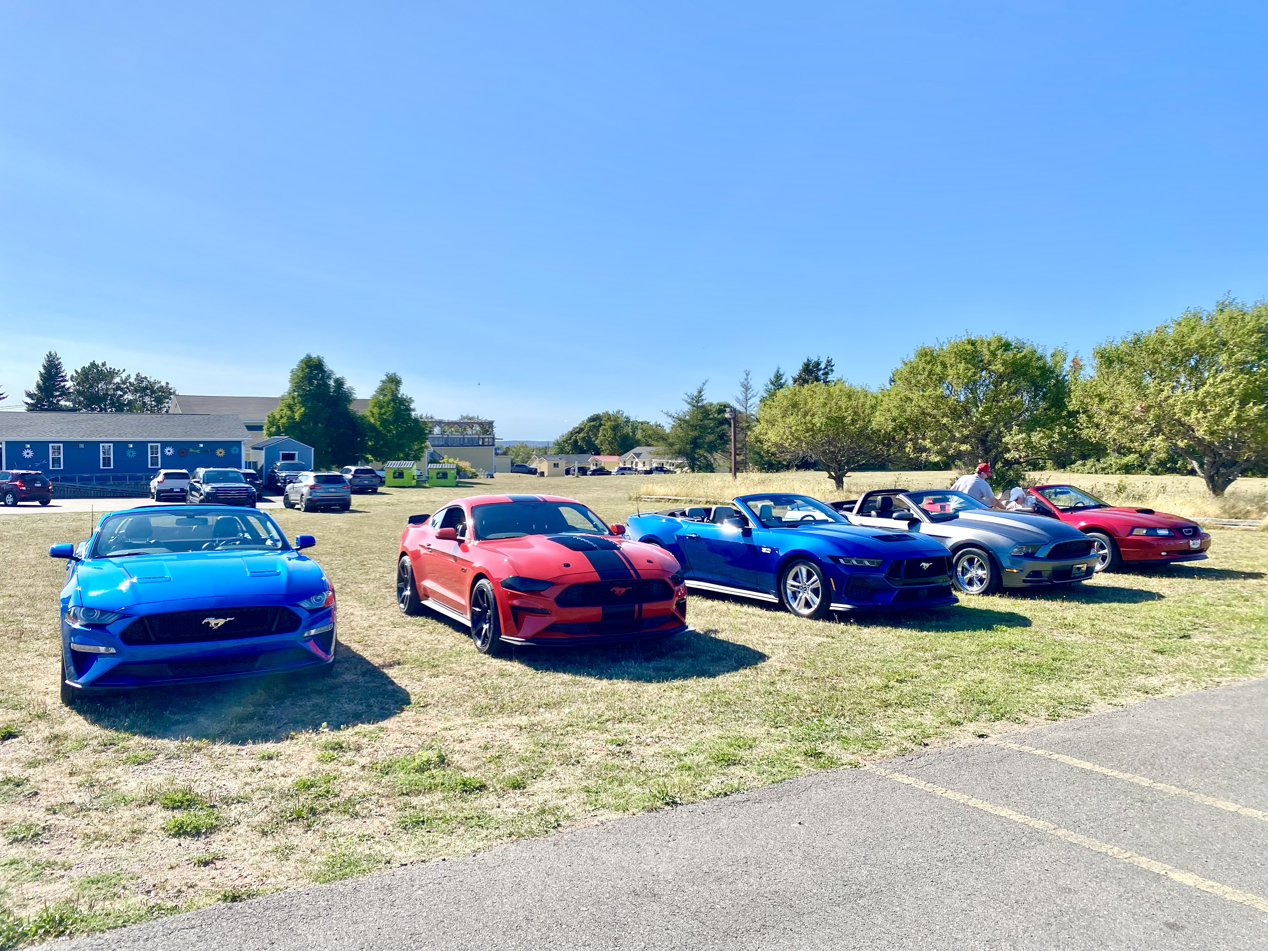 IMG_4414.jpeg