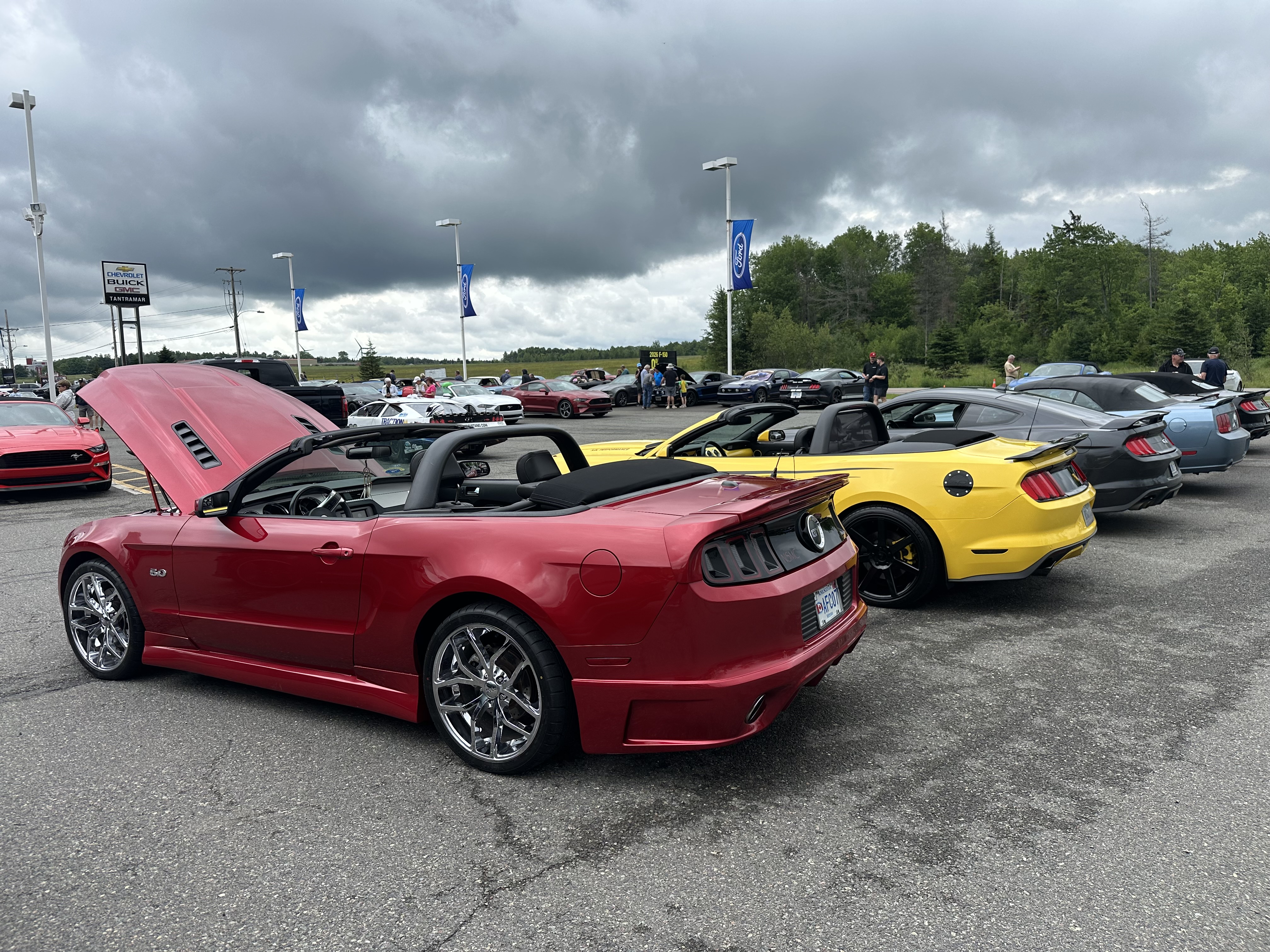 IMG_4442.jpeg