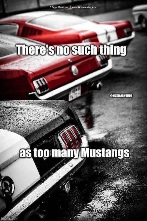 IMG_4480.jpeg