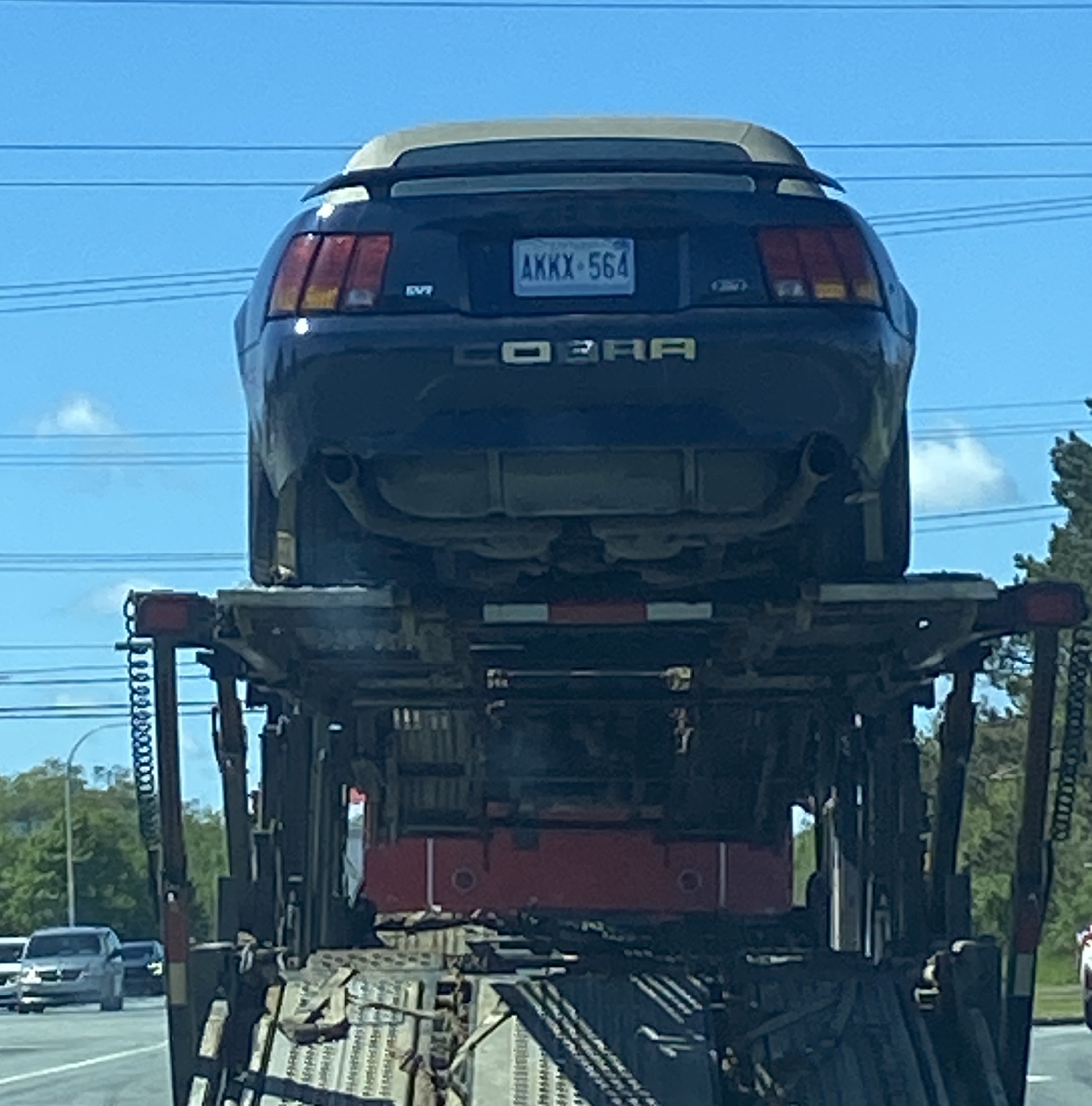 IMG_4683.jpeg