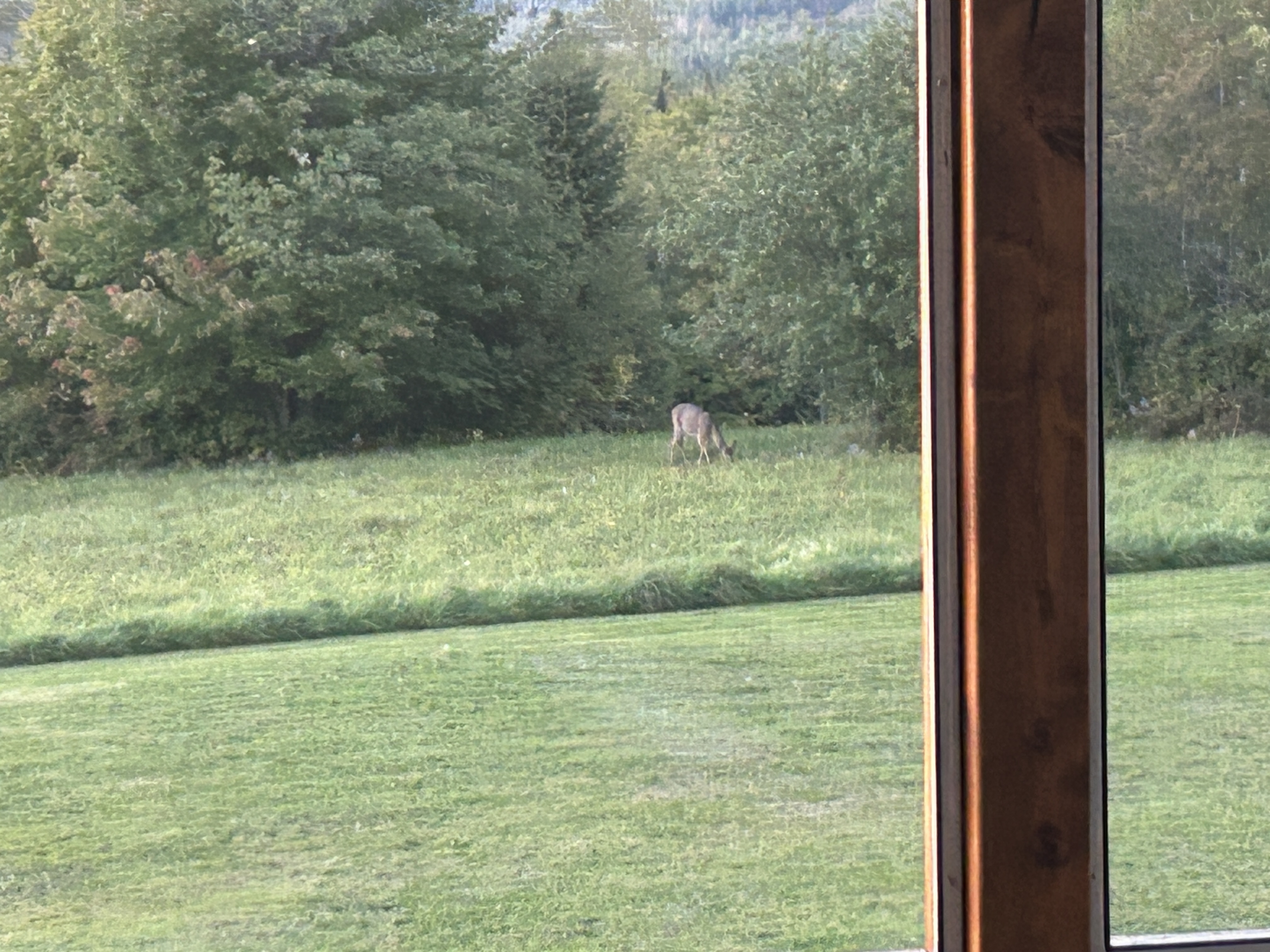 IMG_5855.jpeg