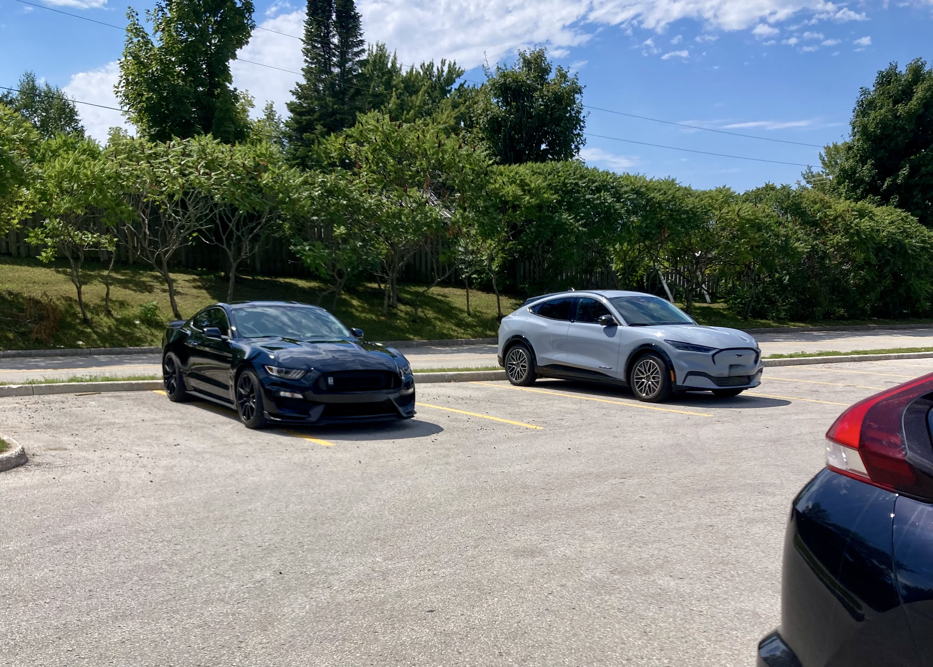 IMG_6290.jpeg