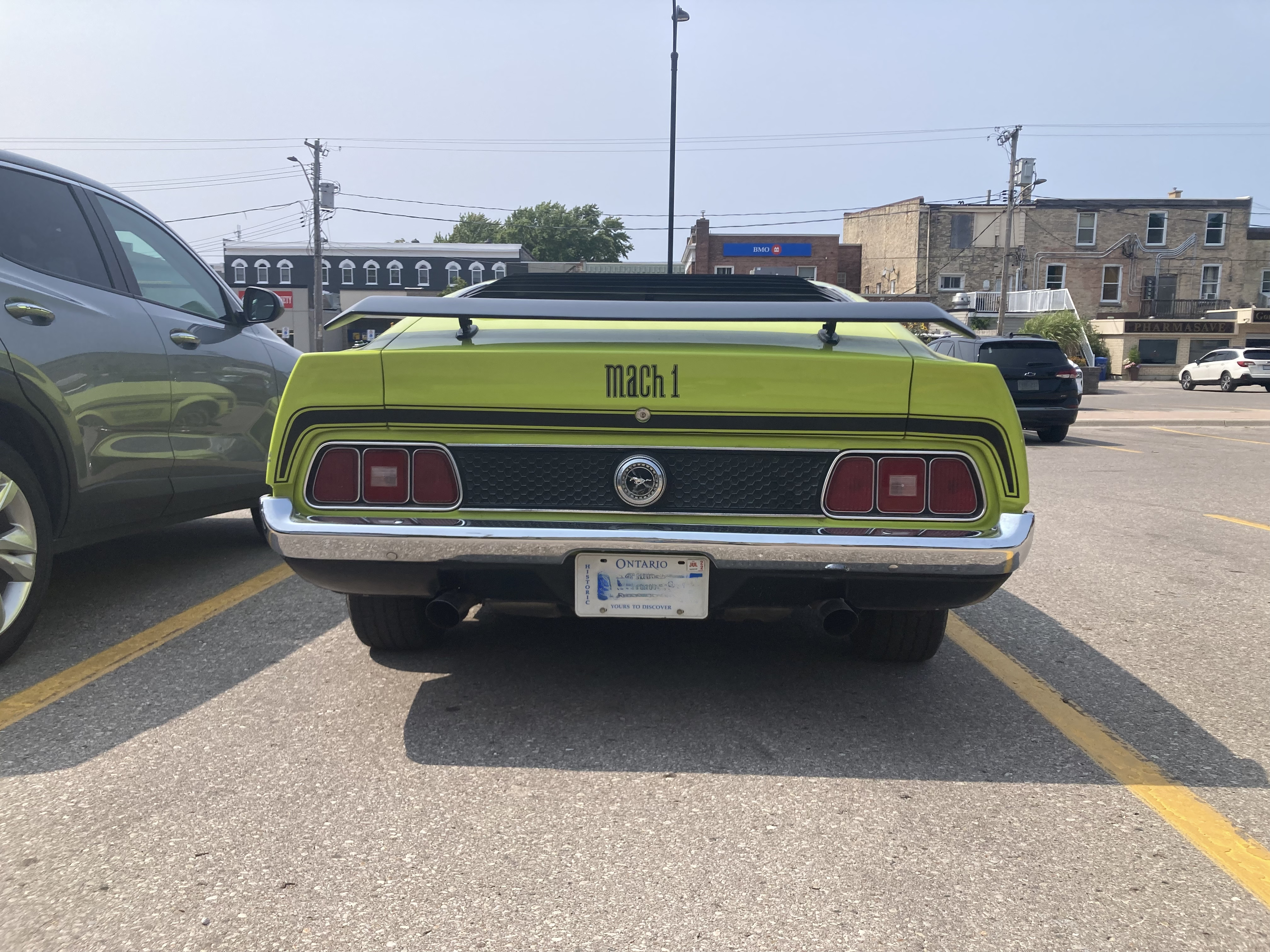 IMG_7019.jpeg