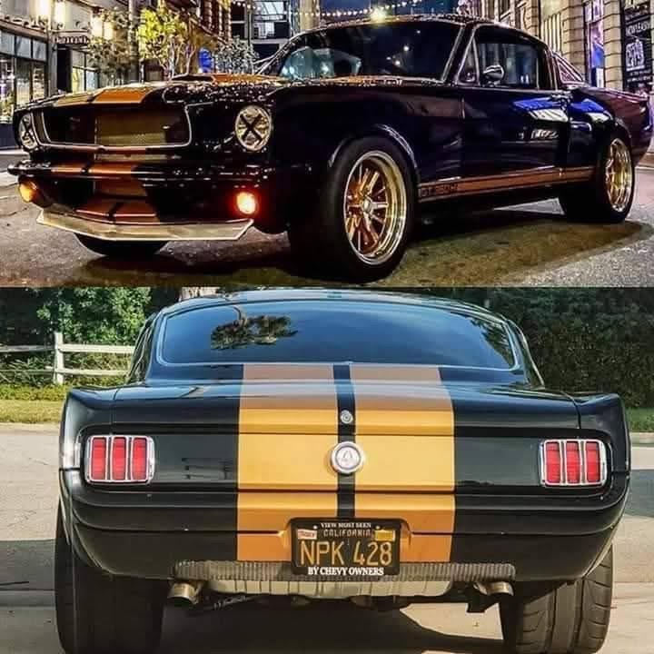 IMG_7468.jpeg