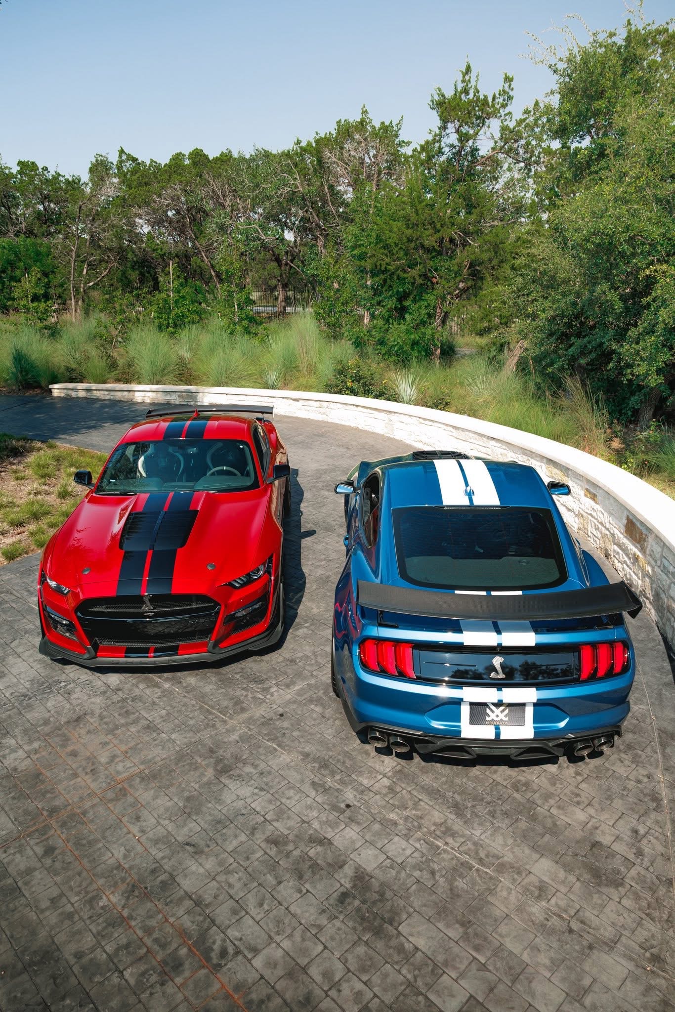 IMG_7531.jpeg