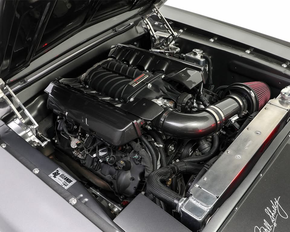 IMG_8299.jpeg