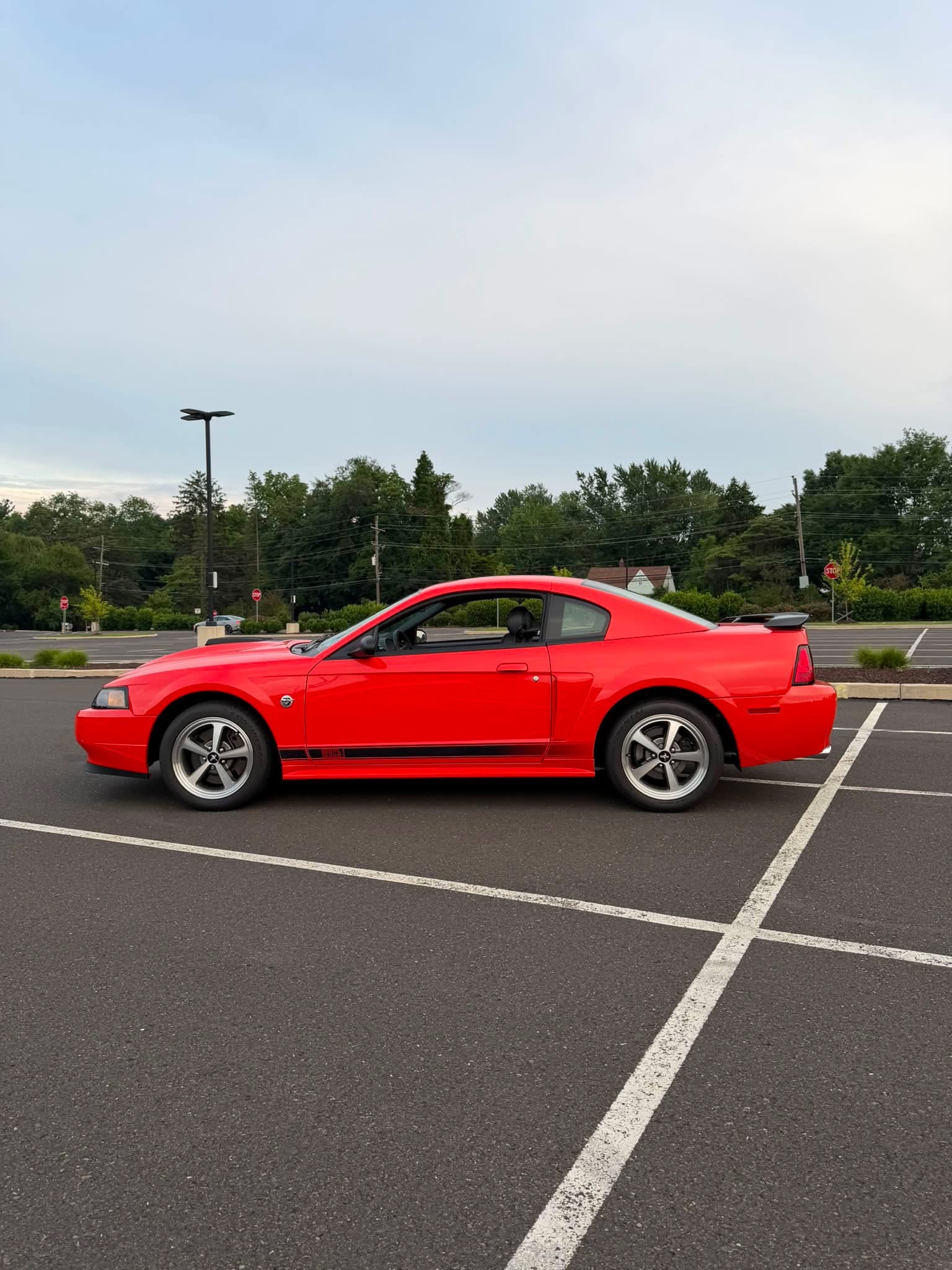 IMG_8697.jpeg