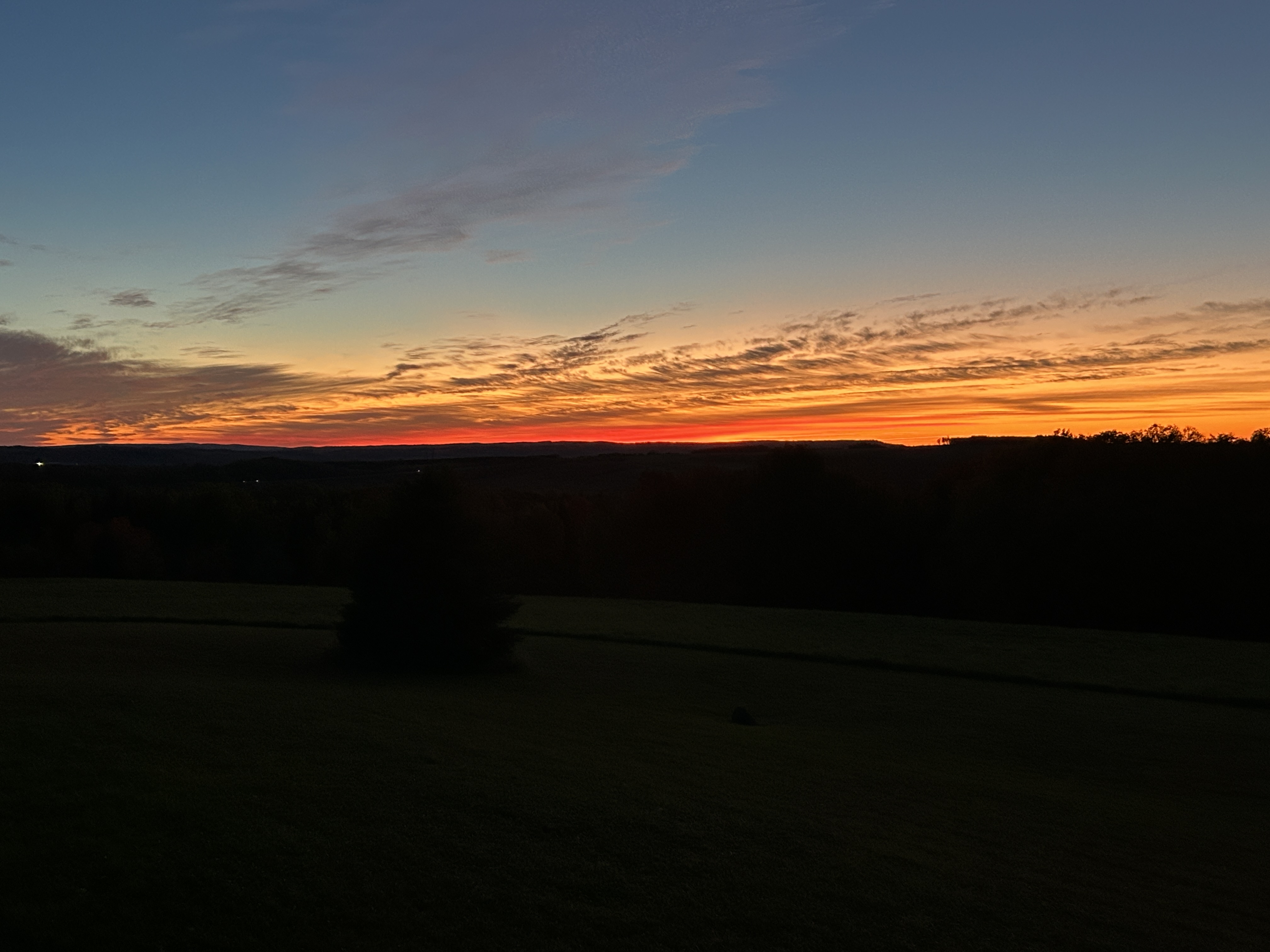 IMG_9553.jpeg