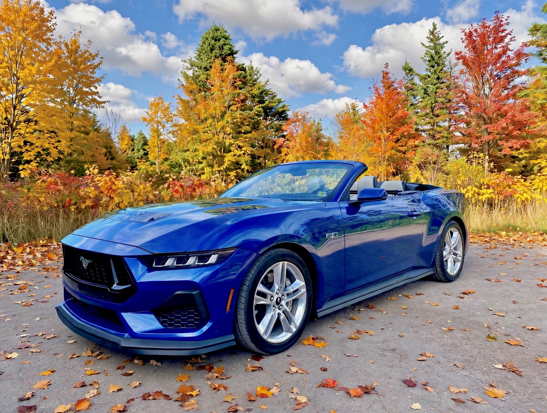 KBStang.jpg