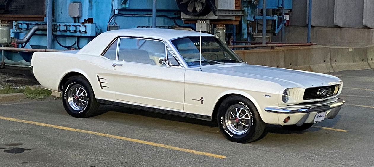 stang.png