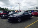 Mystang.jpg