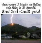 1605632655863.png