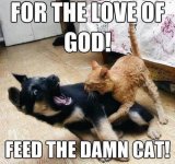 6A127EBD-D276-4757-B7D7-C5CF04661BDD.jpeg