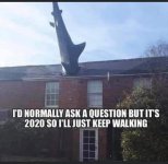 FB_IMG_1607454948597.jpg