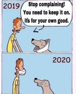 1607542425910.png
