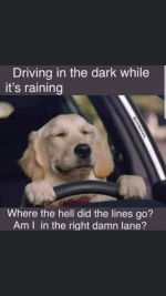 1607550096790.png