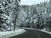 IMG_2232[1].JPG
