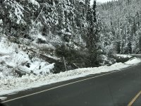IMG_2230[1].JPG